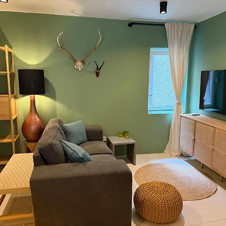 Apartament Vida's Homes